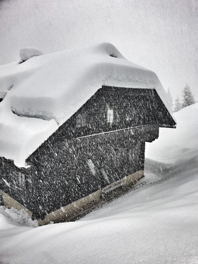 Das Bergerleben Sonnenalpe Nassfeld Eksteriør billede